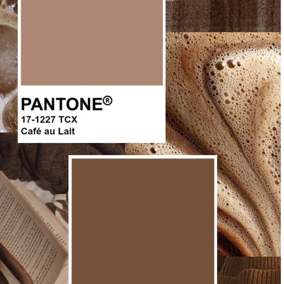 Ash Mystery - Pale Brown ribbed Knit Top with hoodie - Picture 3 of 4